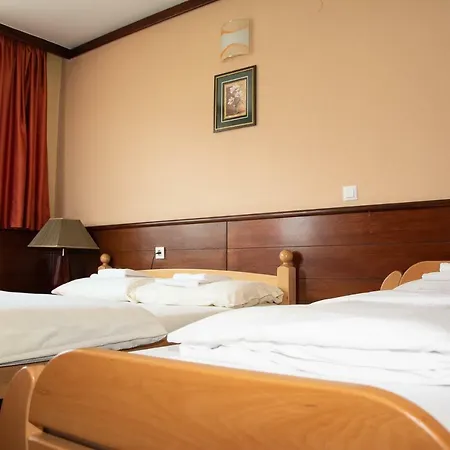 Hotel Tisa 4*