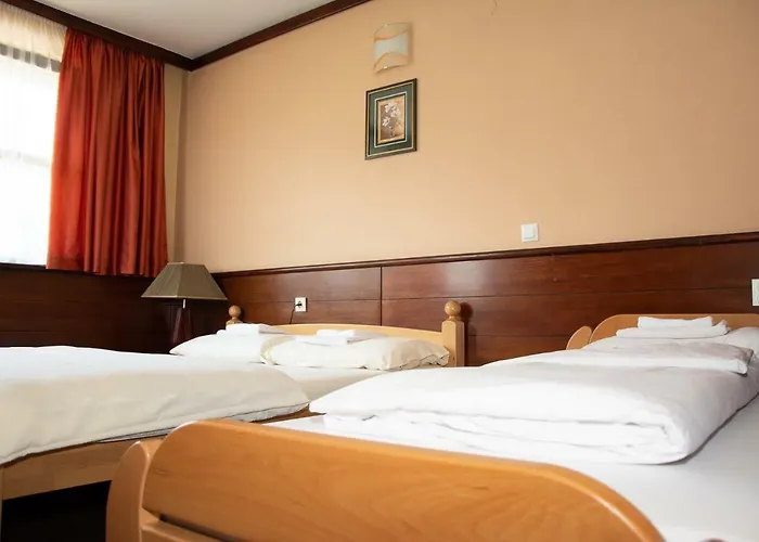 Hotel Tisa 4*